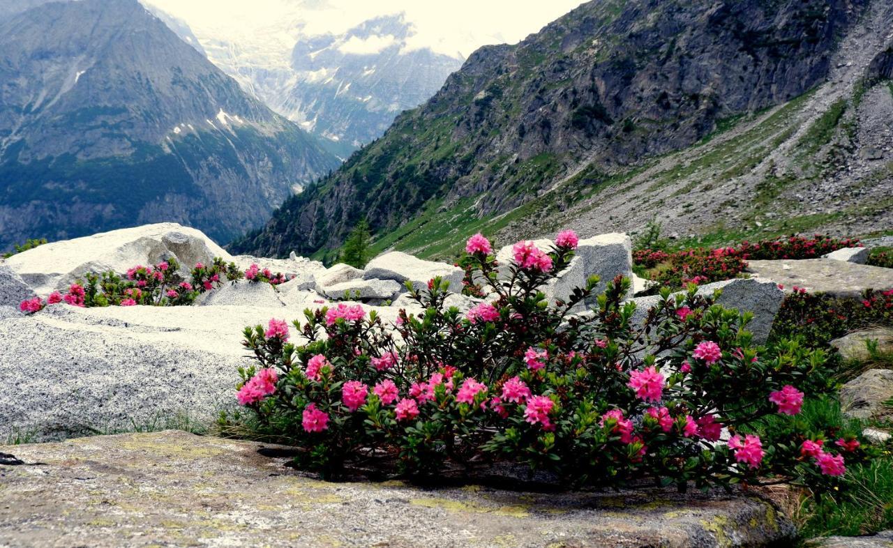 Laerchhof Villa Collalbo Dış mekan fotoğraf
