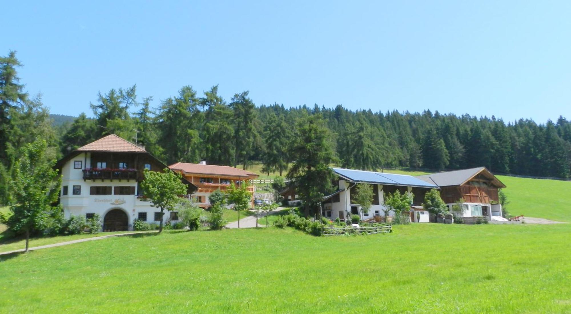 Laerchhof Villa Collalbo Dış mekan fotoğraf