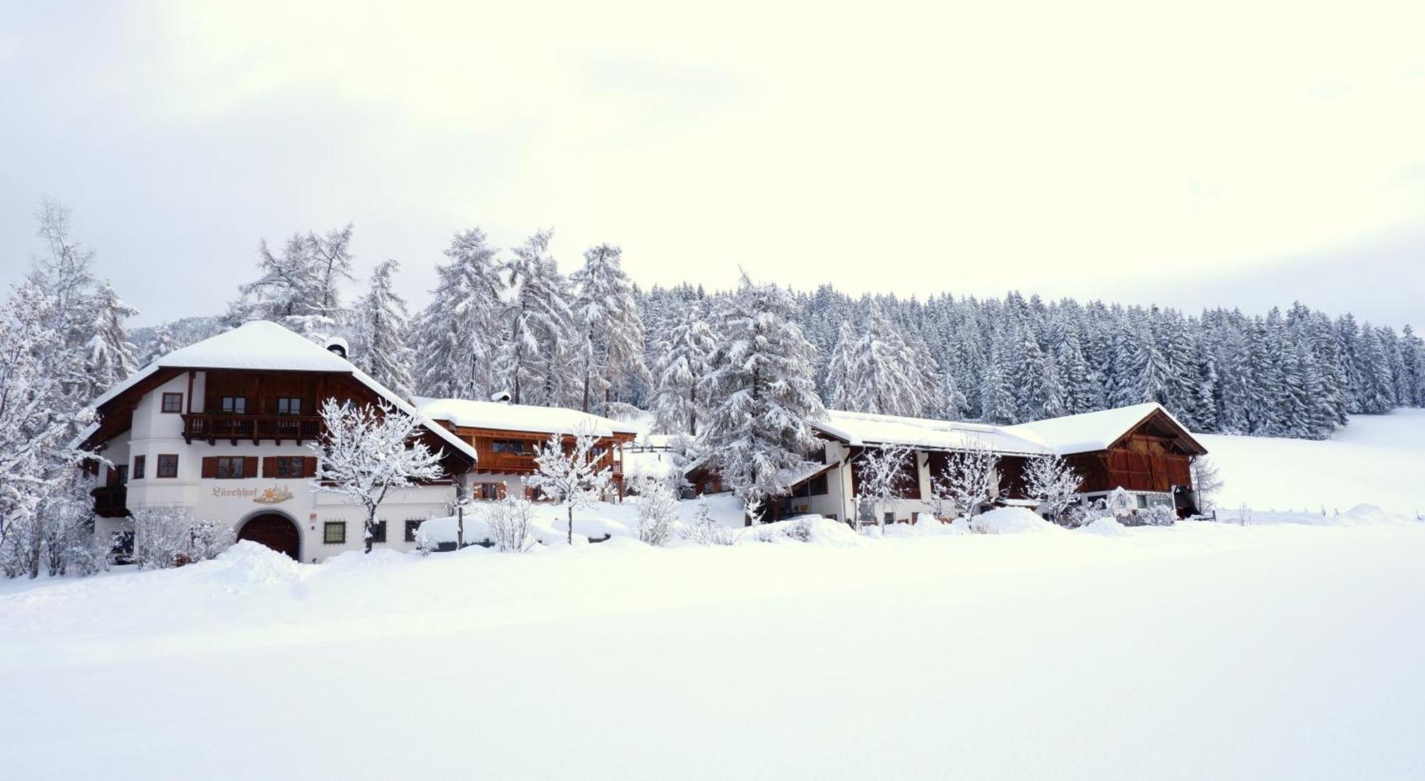Laerchhof Villa Collalbo Dış mekan fotoğraf