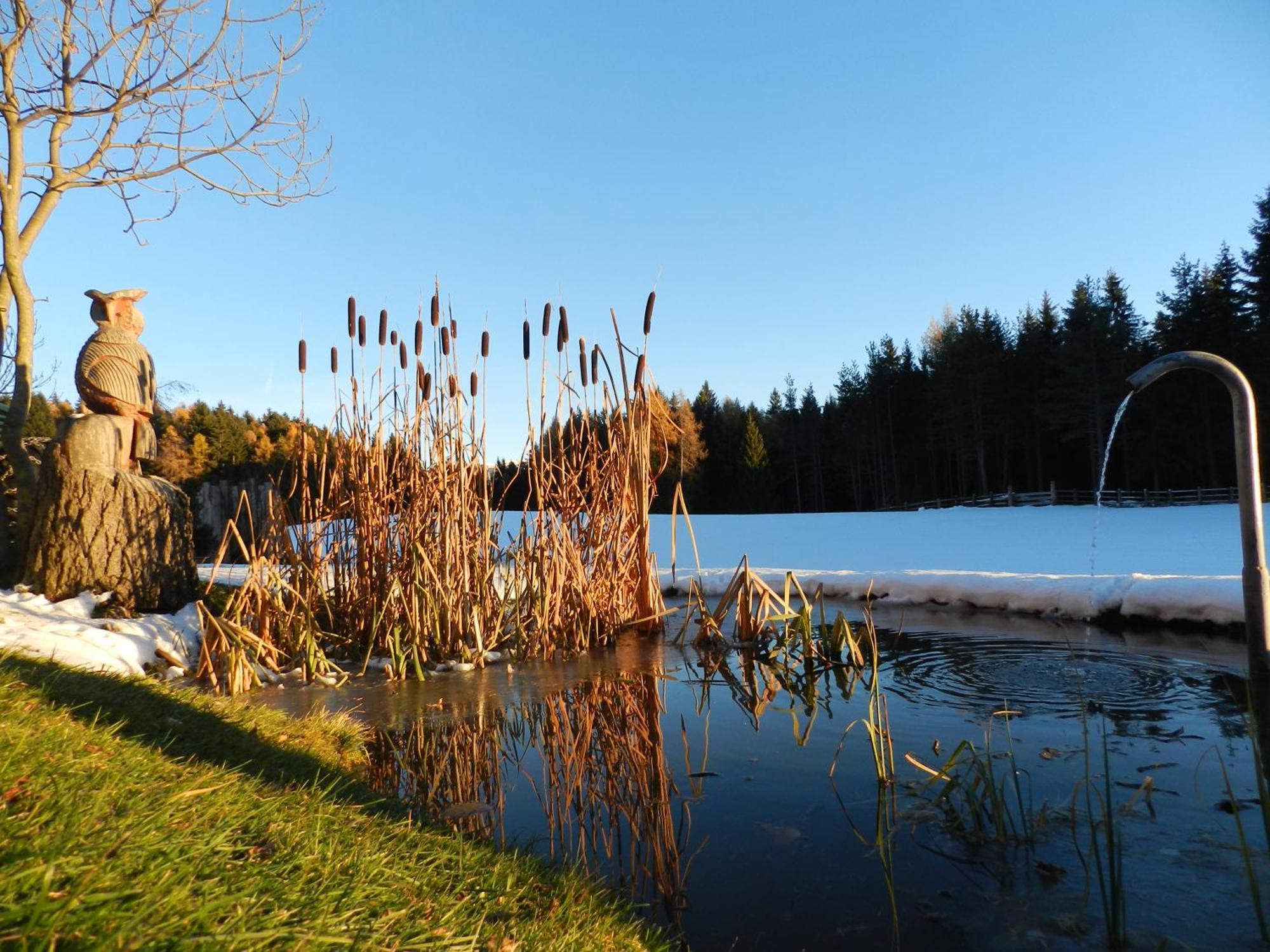 Laerchhof Villa Collalbo Dış mekan fotoğraf