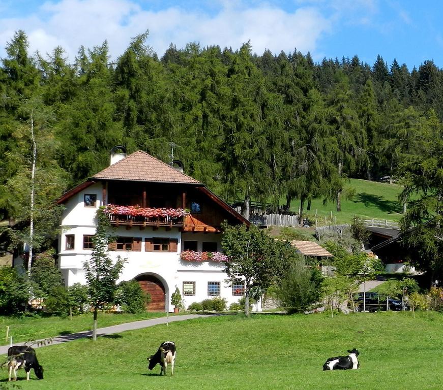 Laerchhof Villa Collalbo Dış mekan fotoğraf