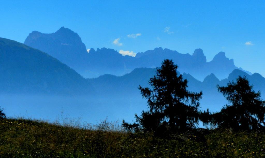 Laerchhof Villa Collalbo Oda fotoğraf
